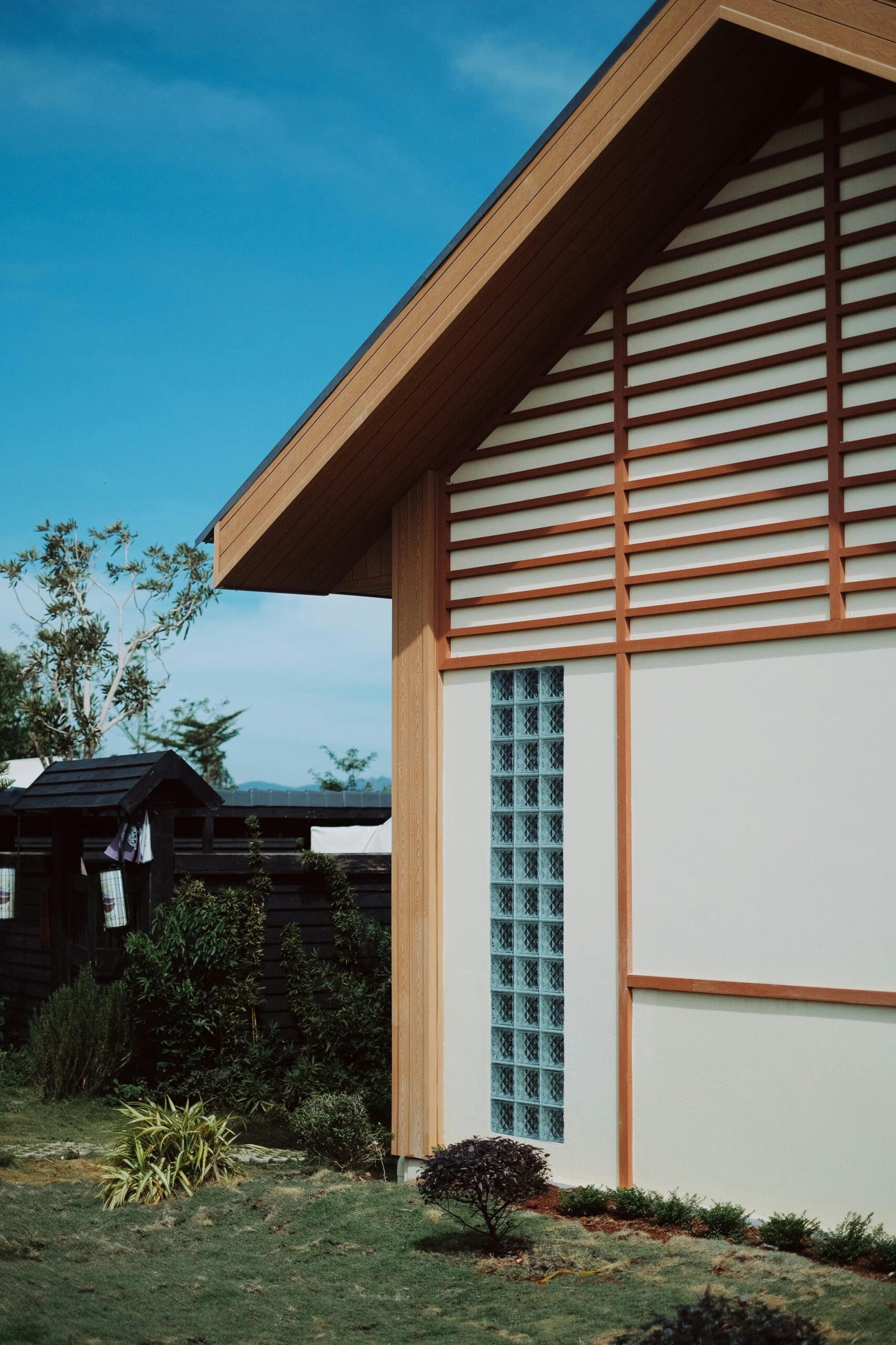 pexels nguyendesigner 30278097